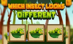 Which Insect Looks Different image