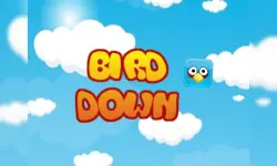 BirdDown image