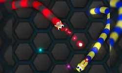 Wormo.io image