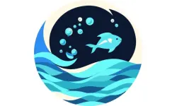 Fish Divider image