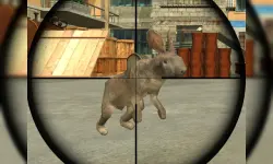 Rabbit Shooter image