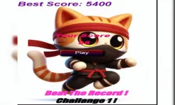 Cat Jumper 1 image