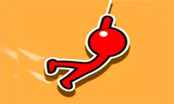 Robin Hook image