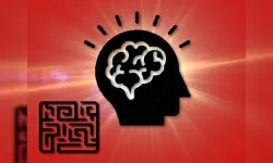 Crazy Maze image
