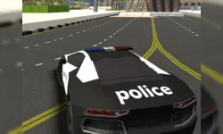 Police Stunt Cars image