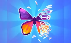 Art Of Puzzle image