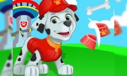 Paw Patrol Puppy Ninja Slice Fruit image