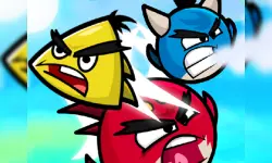 Angry Heroes Birds image