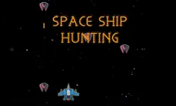 SPACE SHIP HUNT image