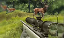 Sniper Hunting Deadly Animal image
