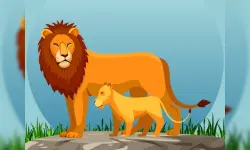 Wild Animals and Their Babies image