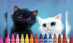 4GameGround - Kittens Coloring image