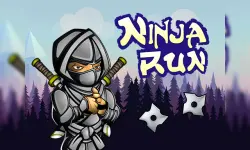 Run Ninja image