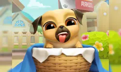 My Cute Puppy Grooming 3D image