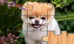 Cute Dogs Jigsaw Puzlle image