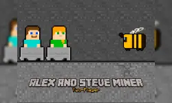 Alex and Steve Miner Two Player image
