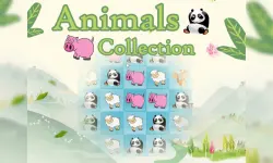 Animals Collection image