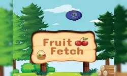 Fruit Fetch image