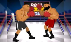 Real Boxing Fight image