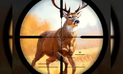 Wild Hunting Clash image