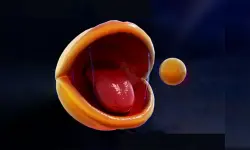 Pac-Man Rtx On image