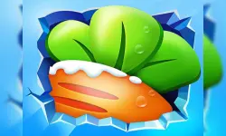 Kinfe Invincible image