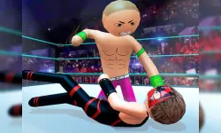 police Stick man Fighting Game image