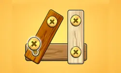 Nut Bolt Screw Puzzle Game image