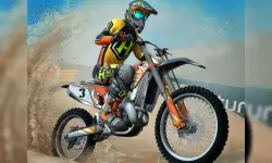 Mad Skills Motocross 3 image