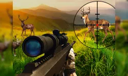 Wild Hunter Sniper Buck image
